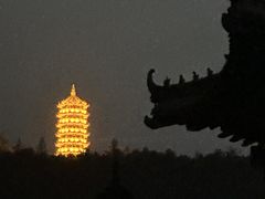 -黄椅山火山森林公园