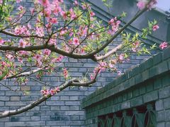 -三里河公园