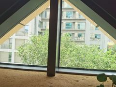 -君邦火锅(新疆大厦店)