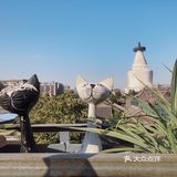 露台打卡