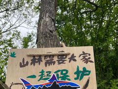 -南京老山国家森林公园