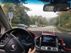 -铁山坪森林公园