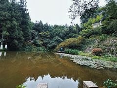 -莫干山风景区
