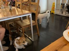 -Egg•Allday Brunch(襄阳北路店)