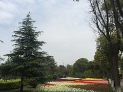 -上海鲜花港