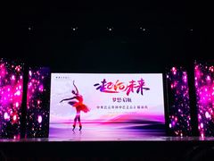 -中央芭蕾舞团·中芭艺蕾(酒仙桥明星校区)