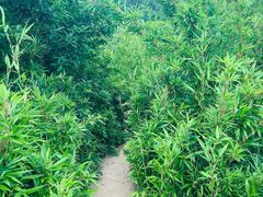 -白马涧龙池景区