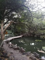 -苏州大学附属儿童医院(景德路院区)