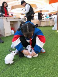 -萌宠亲子动物乐园(槐房万达店)