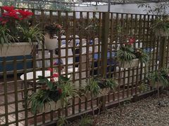 -桉树林A coffee 森林餐厅(三圣乡店)