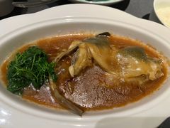 -沈灶河豚宴·河豚融合餐厅(汉中路店)