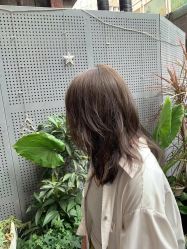 -蚂蚁造型俱乐部