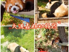 -大连森林动物园
