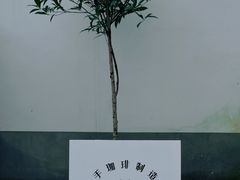 -Metal hands·铁手咖啡