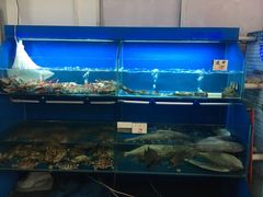 -叶姐海鲜(棋子湾店)