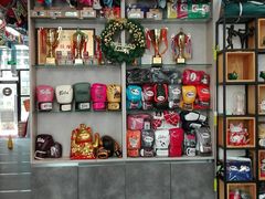 -体育科代表搏击散打体能训练馆(陶然亭店)