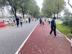 -艾溪湖湿地公园