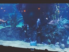 -暹罗海洋世界