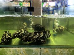 -聚鲜阁海鲜美食城(香水湾店)