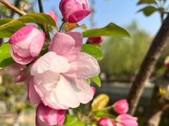 -元大都城垣遗址公园