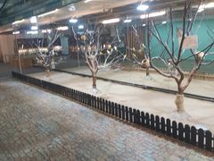 -上海大自然野生昆虫馆(东方明珠·爬宠昆虫探索中心)