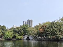 -荔湾湖公园