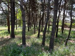 -国家植物园南园