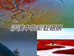 -红海滩国家风景廊道