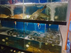 -美味海鲜大排档(明发美食地标店)