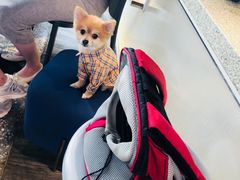 -BeauTea水仙(coco park店)