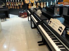 -柏斯琴行(汾阳店)
