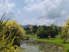 -中国科学院西双版纳热带植物园