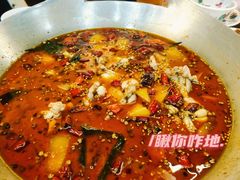 -靓蛙馆