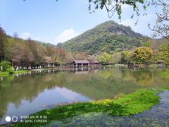 -八卦田遗址公园