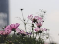 -海心沙亚运公园