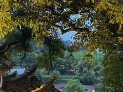 -杨家堂村