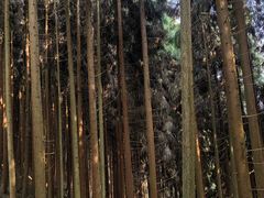 -太阳湾风景区