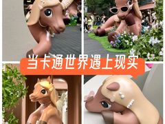 -深圳湾万象城(南山店)