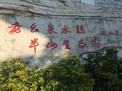 -老幺泉水鸡