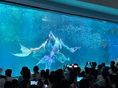 -海合安成都极地海洋公园