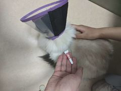 -全心全意连锁动物医院(加州店)