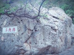 -阳台山自然风景区