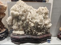 -河南自然博物馆