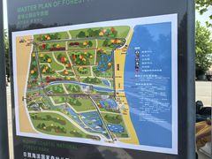 -日照海滨国家森林公园