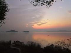 -上海市保健医疗中心