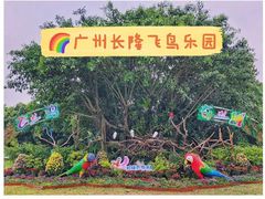 -广州长隆飞鸟乐园