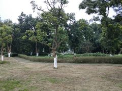 -张坝桂圆林公园