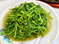 -九里香(三世传承店)