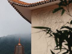 -深圳仙湖植物园