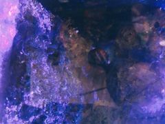 -网鱼网咖(浦东长岛路店)